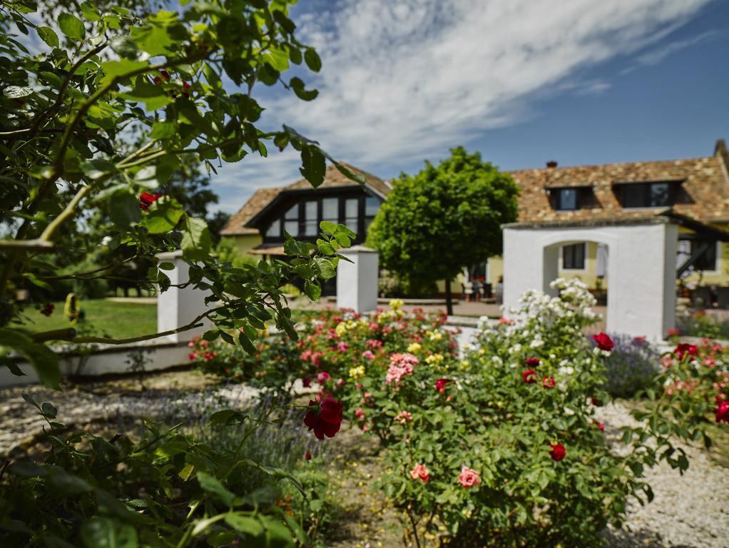 Videki Haz Guest House Tagyon ภายนอก รูปภาพ