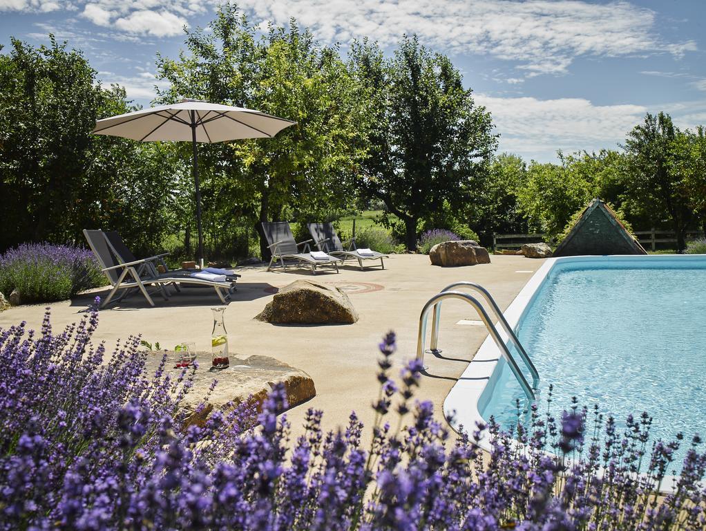 Videki Haz Guest House Tagyon ภายนอก รูปภาพ