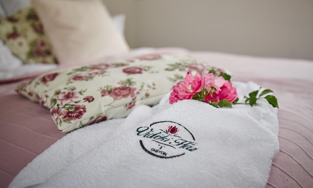 Videki Haz Guest House Tagyon ภายนอก รูปภาพ