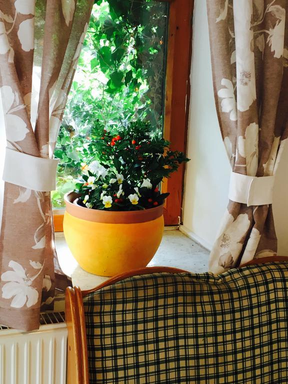 Videki Haz Guest House Tagyon ภายนอก รูปภาพ
